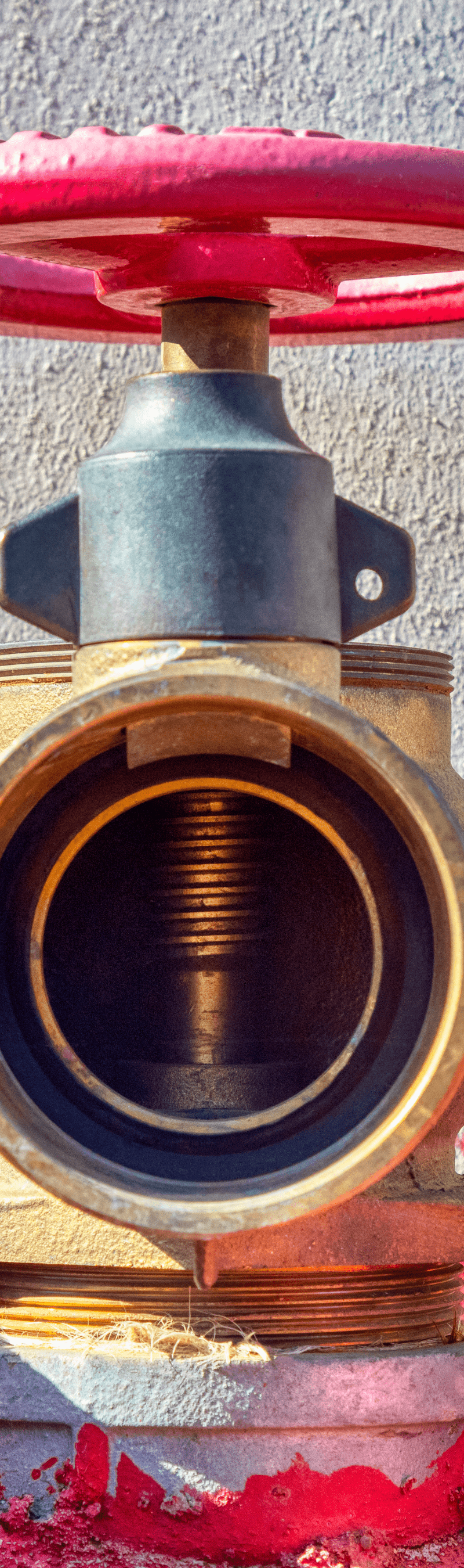 valve repair and replacement